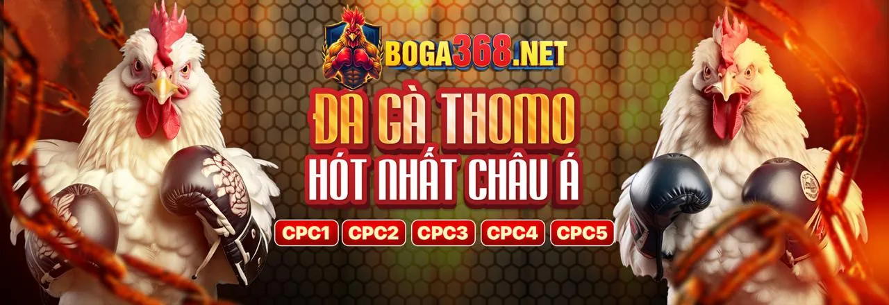 Tầm quan trọng của việc tìm link 33win7 mới nhất