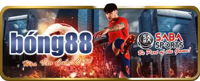 Nền tảng tin tức đáng tin cậy